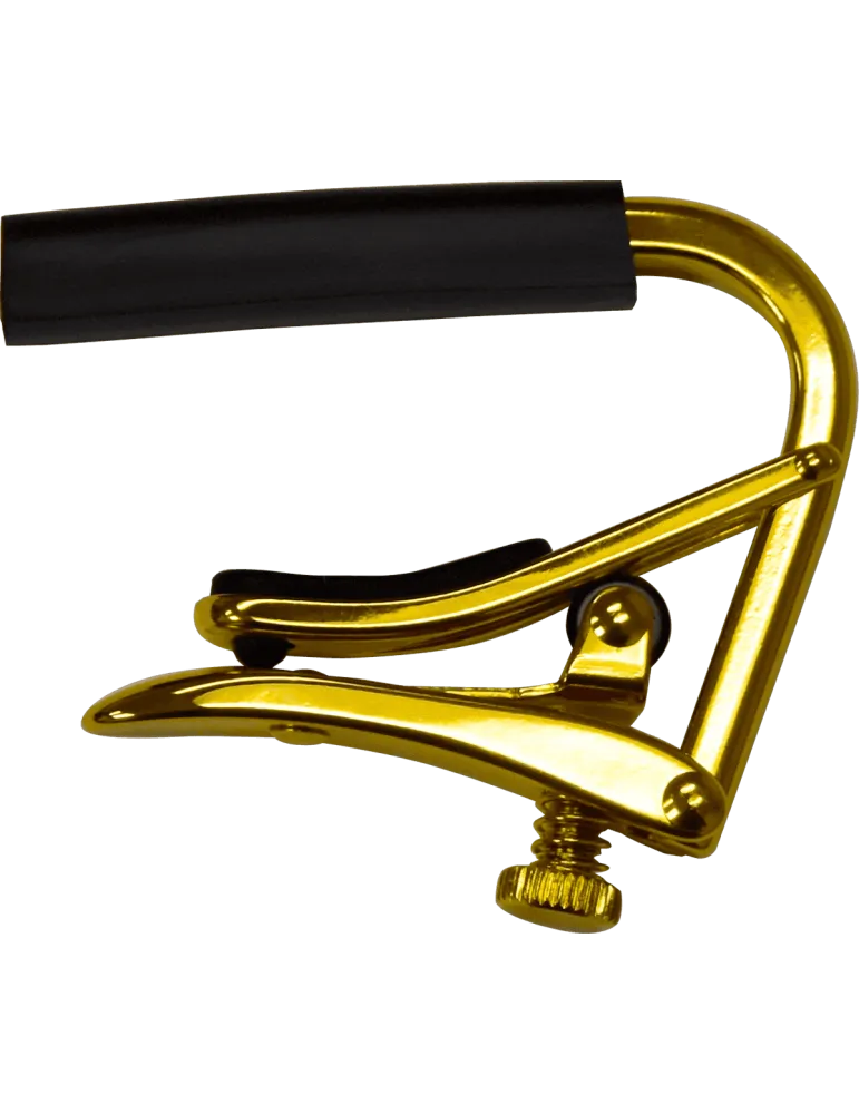 SHUBB C4G | MusicGoodDeal
