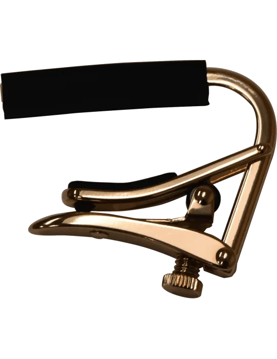 SHUBB C4RG | MusicGoodDeal