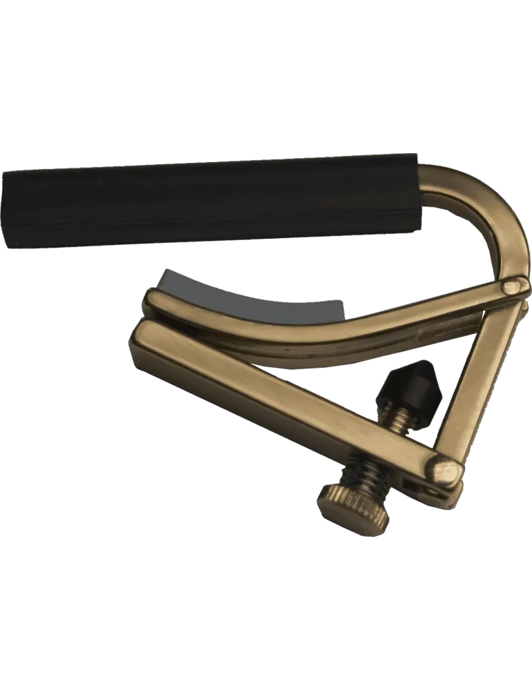 SHUBB C2B | MusicGoodDeal