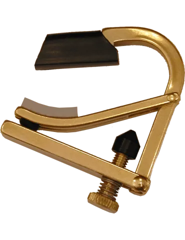 SHUBB C7B | MusicGoodDeal