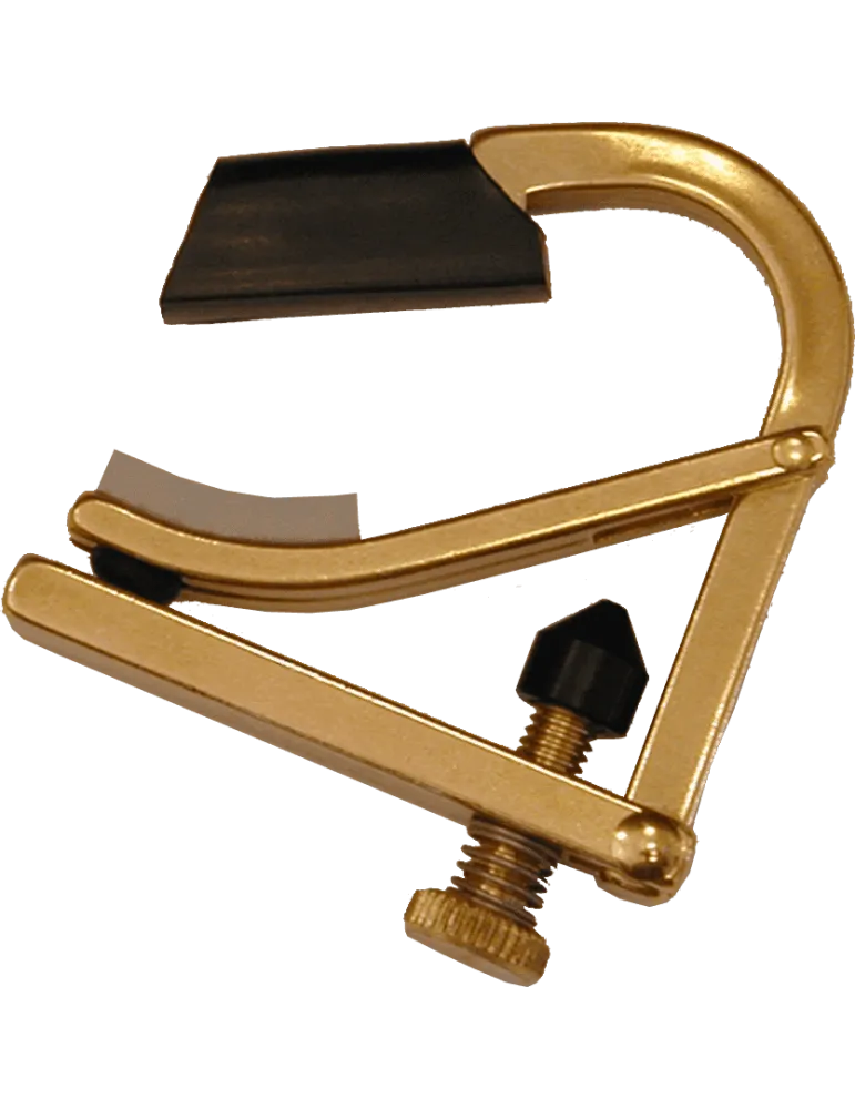 SHUBB C7B | MusicGoodDeal