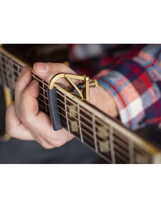 SHUBB C1B | MusicGoodDeal