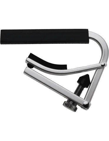 SHUBB L2 | MusicGoodDeal