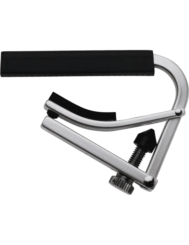 SHUBB L2 | MusicGoodDeal