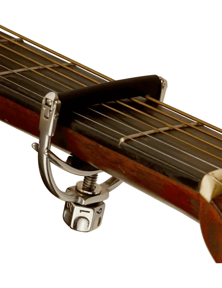 SHUBB F1 | MusicGoodDeal