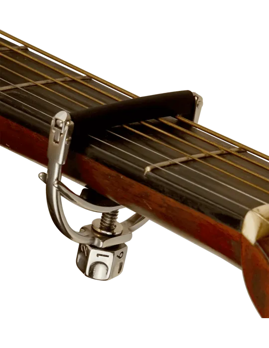 SHUBB F1 | MusicGoodDeal