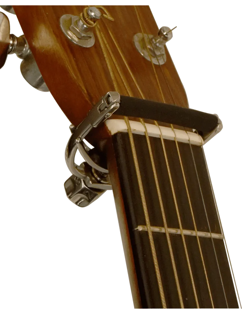 SHUBB F1 | MusicGoodDeal