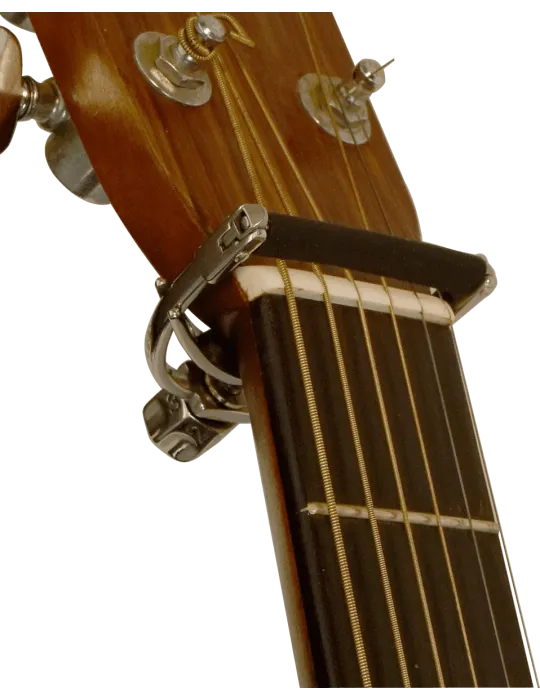 SHUBB F1 | MusicGoodDeal