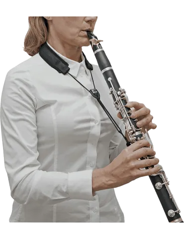 BG C20E | MusicGoodDeal 2