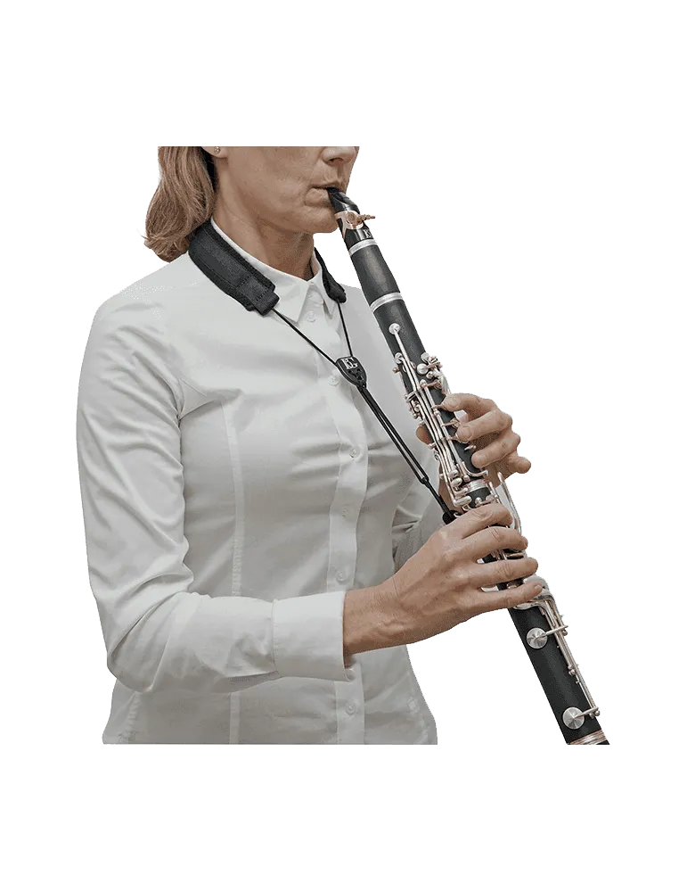 BG C20E | MusicGoodDeal