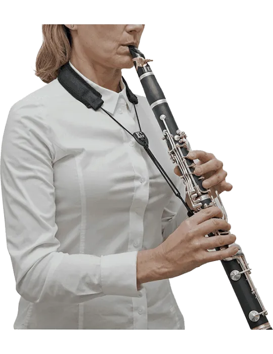 BG C20E | MusicGoodDeal