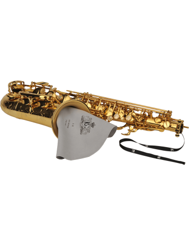 BG A30 | MusicGoodDeal