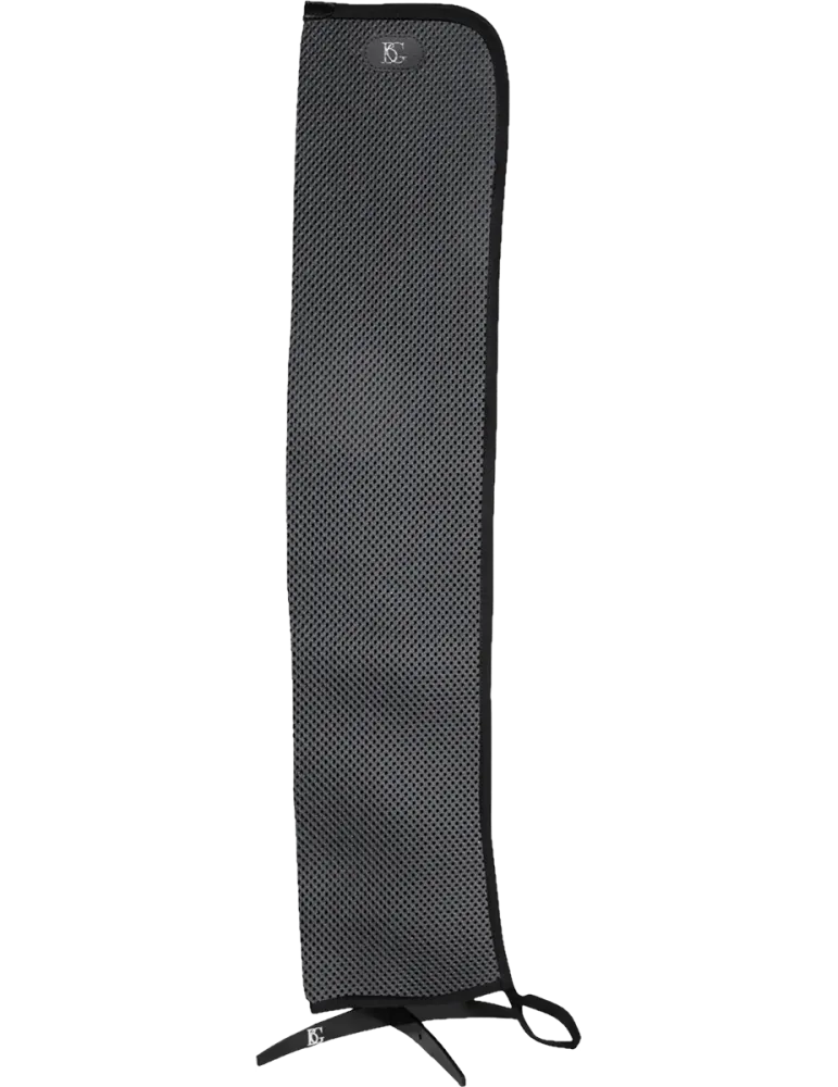 BG A69M | MusicGoodDeal