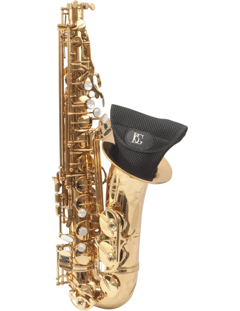 BG PAL | MusicGoodDeal
