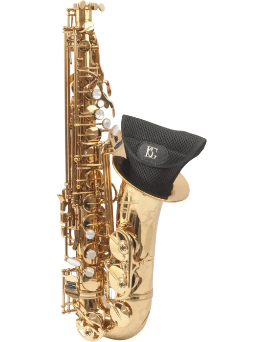 BG PAL | MusicGoodDeal