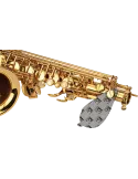 82c7b5d44119443ff58407797df5aef5