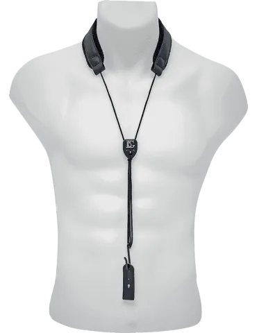 BG C23E | MusicGoodDeal