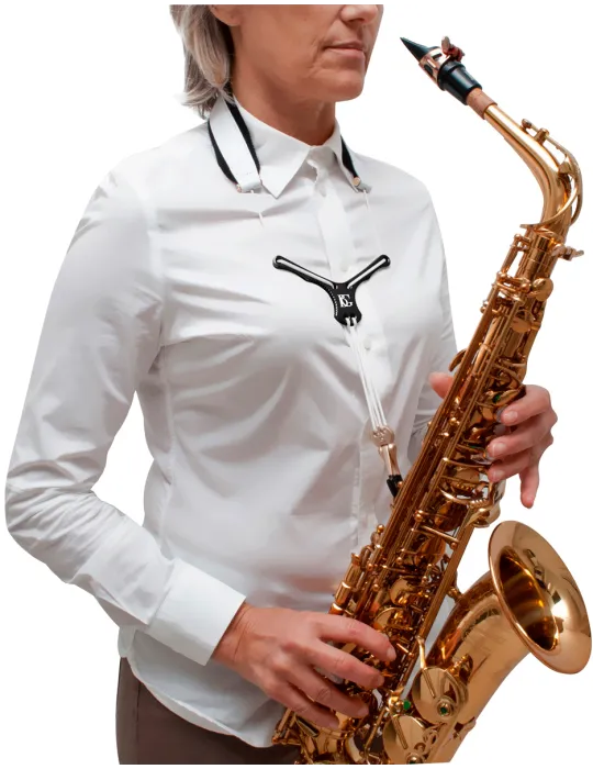 BG S28YBMSH | MusicGoodDeal