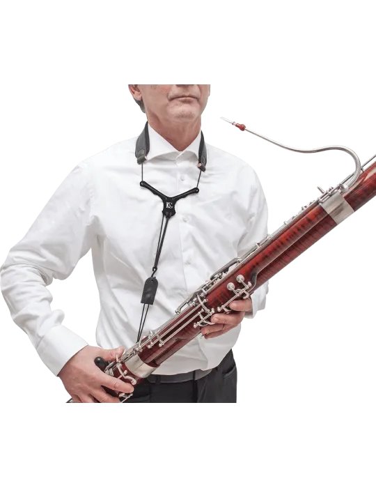 BG B04Y | MusicGoodDeal