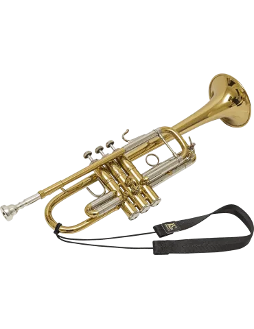 BG TF1 | MusicGoodDeal