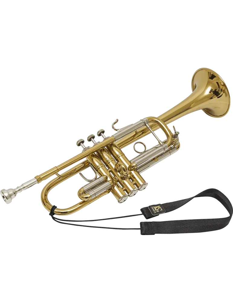 BG TF1 | MusicGoodDeal