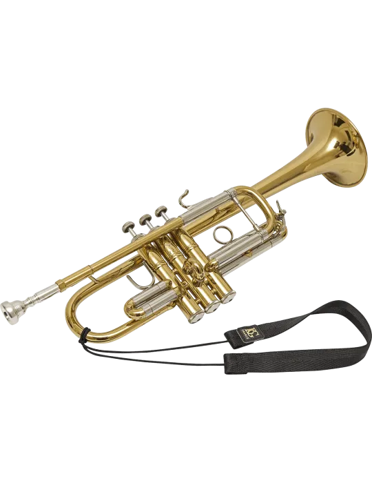 BG TF1 | MusicGoodDeal