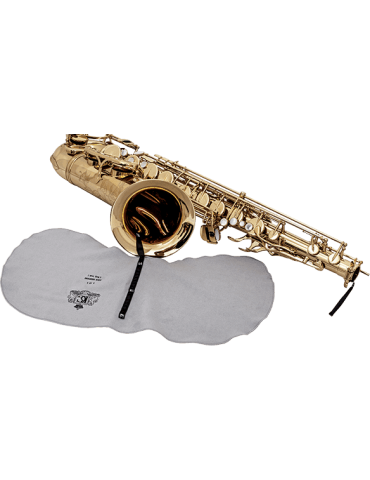 BG A30L | MusicGoodDeal 2