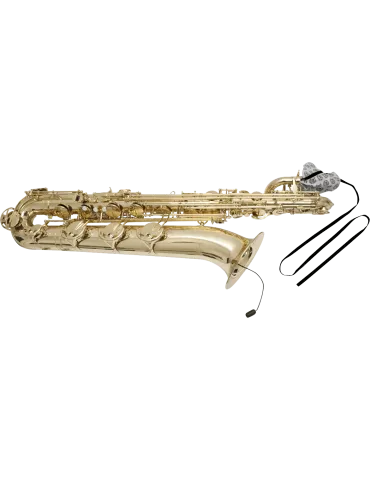 BG A30SB | MusicGoodDeal 2