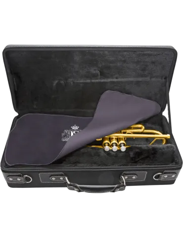 BG A66T | MusicGoodDeal 2