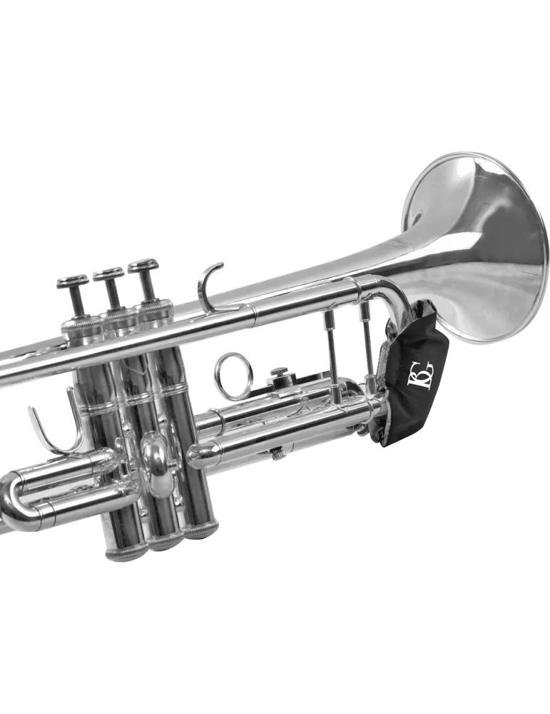 BG AV65 | MusicGoodDeal