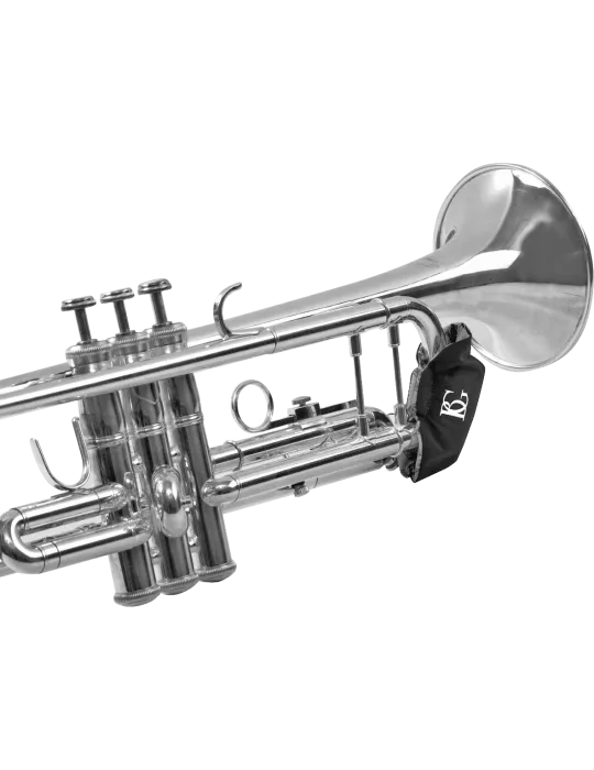 BG AV65 | MusicGoodDeal