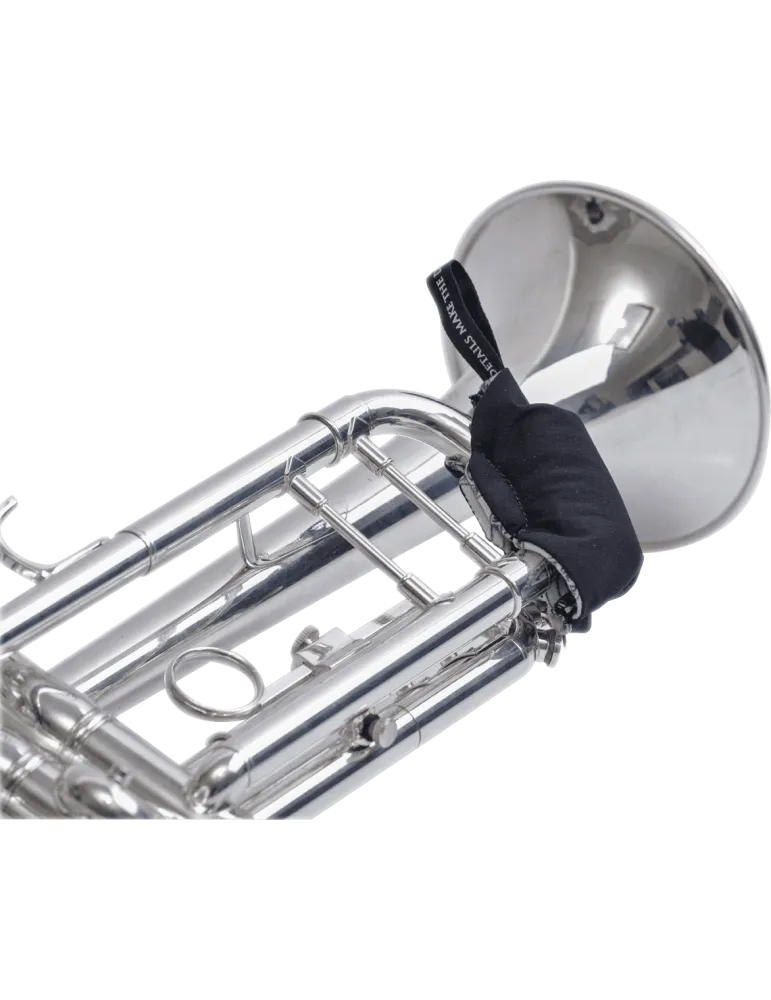 BG AV65 | MusicGoodDeal