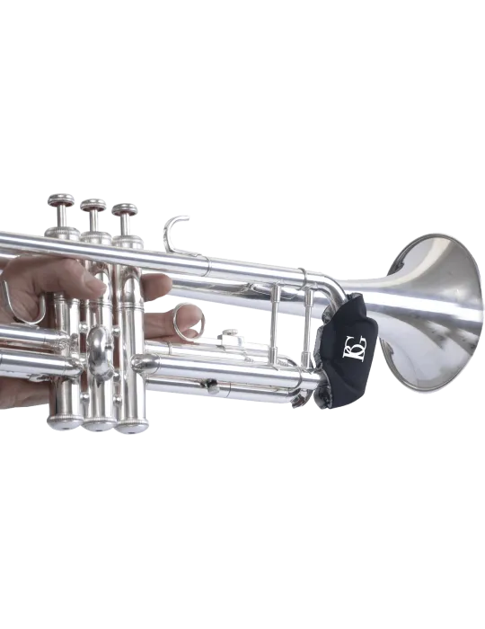 BG AV65 | MusicGoodDeal