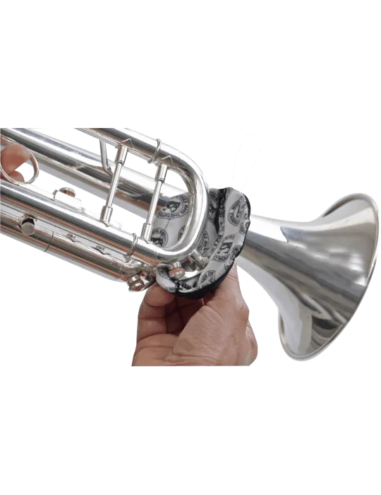BG AV65 | MusicGoodDeal