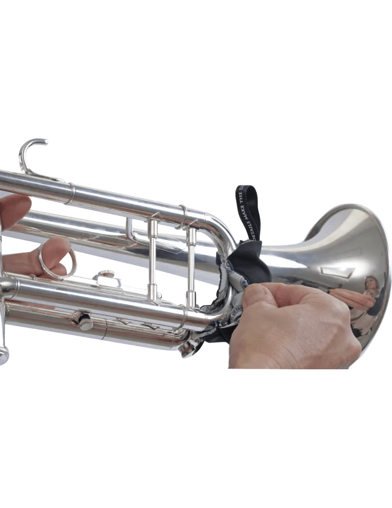 BG AV65 | MusicGoodDeal