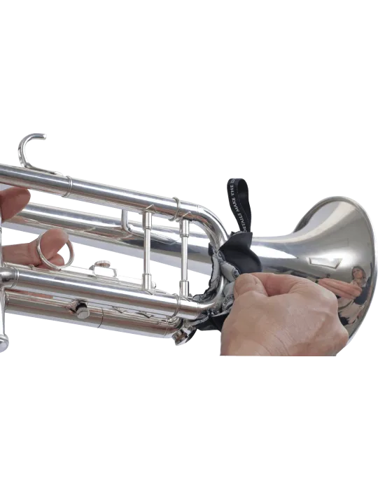 BG AV65 | MusicGoodDeal