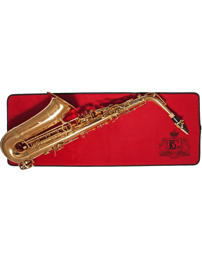 BG WCM9XL | MusicGoodDeal