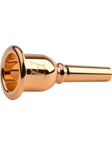 DENIS WICK 3180G-5ABL | MusicGoodDeal 2