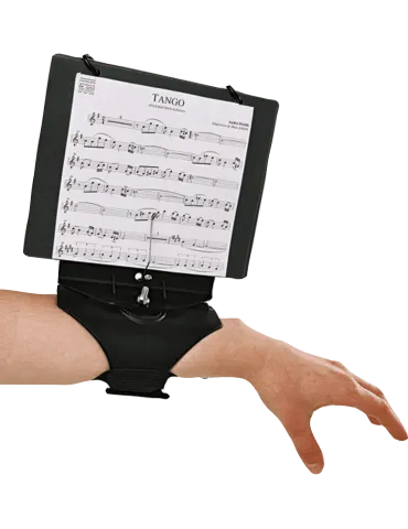 SML PARIS HC225 | MusicGoodDeal