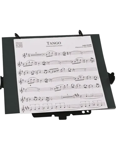 SML PARIS HC200 | MusicGoodDeal