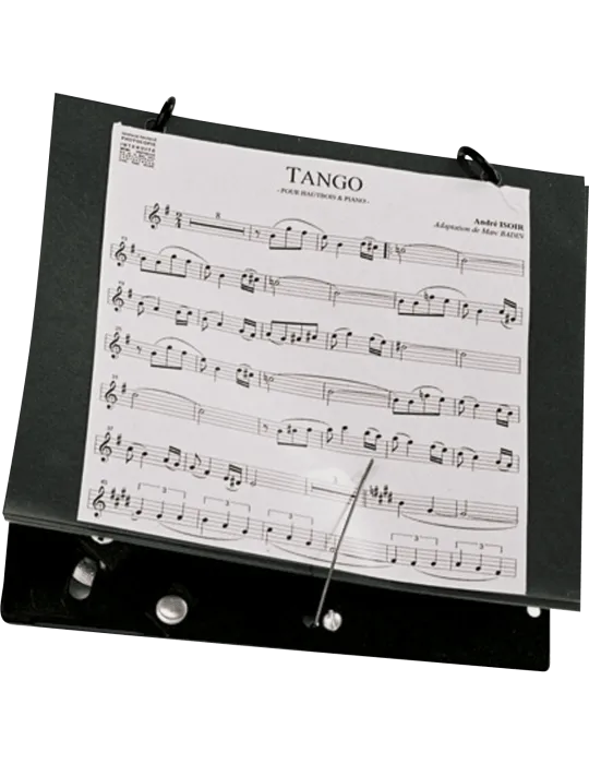 SML PARIS HC250 | MusicGoodDeal