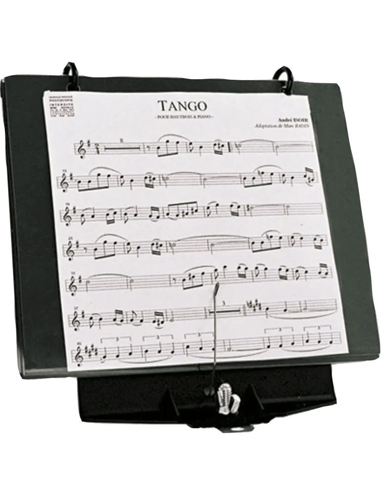 SML PARIS HC240 | MusicGoodDeal
