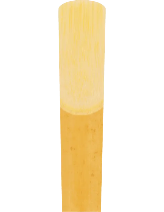 202df85bdd00a6fca846ae74ca0e9941