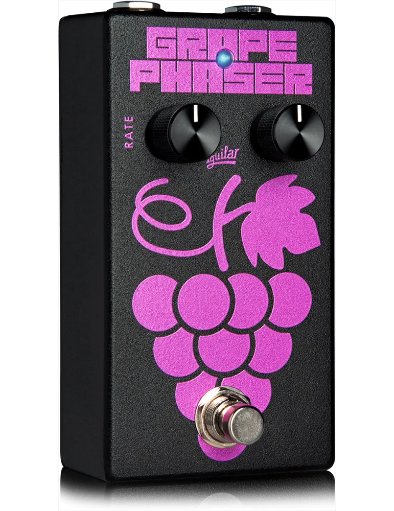 AGUILAR GRAPE-V2 | MusicGoodDeal
