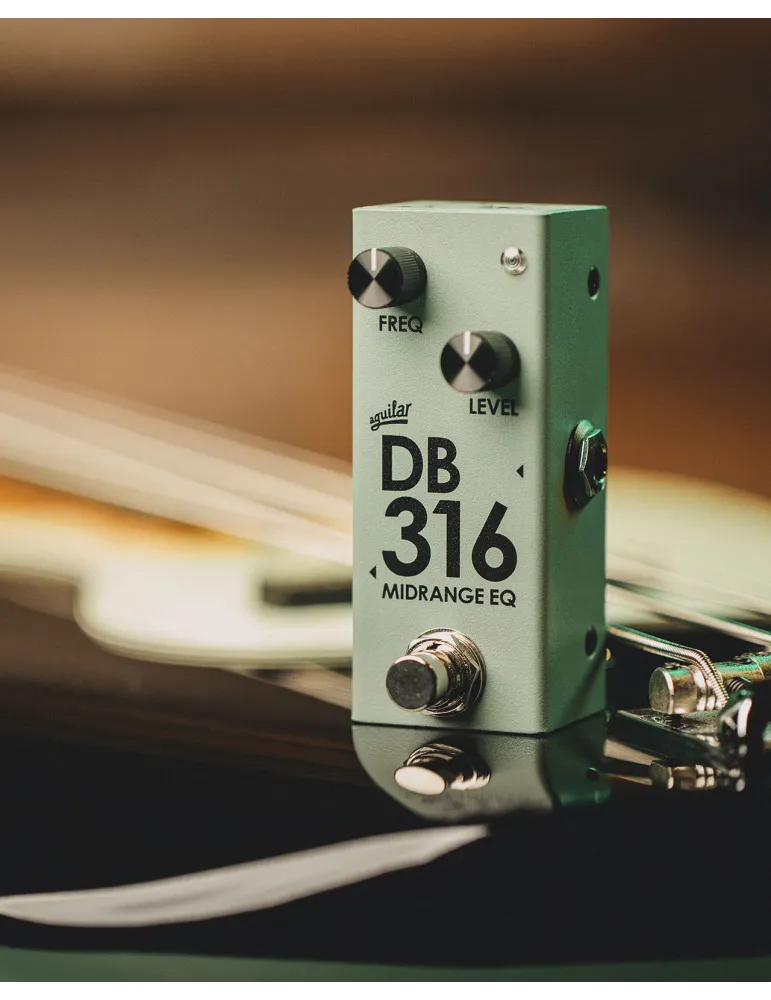 AGUILAR DB316 | MusicGoodDeal