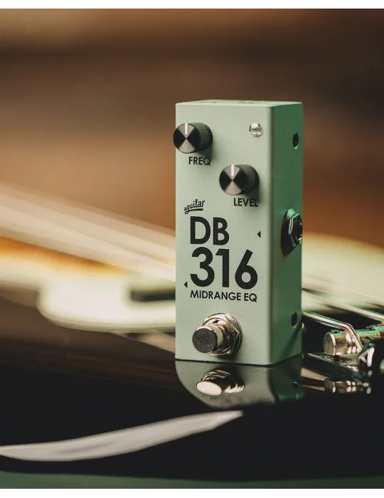 AGUILAR DB316 | MusicGoodDeal