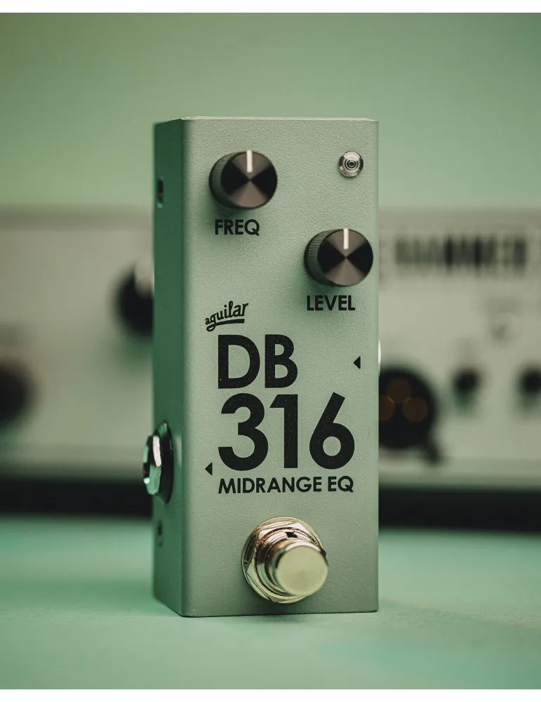 AGUILAR DB316 | MusicGoodDeal