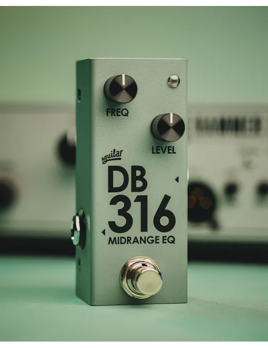 AGUILAR DB316 | MusicGoodDeal