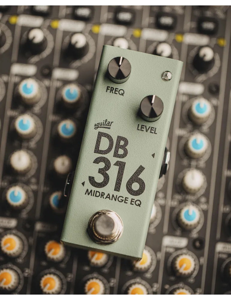 AGUILAR DB316 | MusicGoodDeal