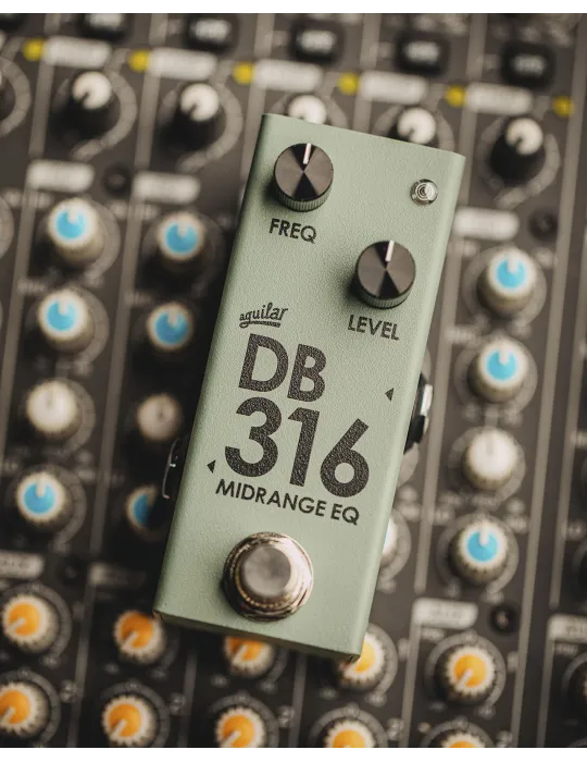 AGUILAR DB316 | MusicGoodDeal